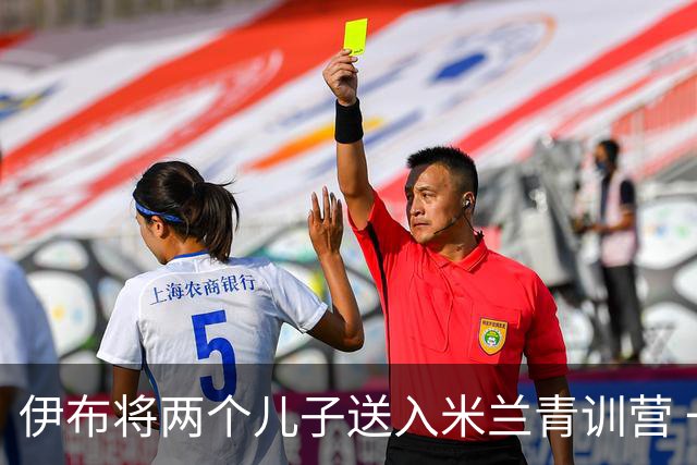 伊布将两个儿子送入米兰青训营 一个U17一个U15