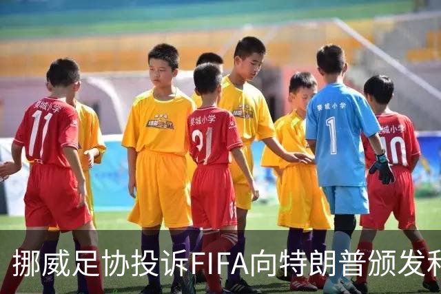 挪威足协投诉FIFA向特朗普颁发和平奖：我们单独致信要求澄清此事