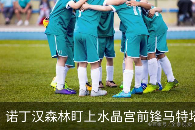 诺丁汉森林盯上水晶宫前锋马特塔，上赛季他进了16个球