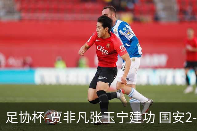 足协杯-贾非凡张玉宁建功 国安2-1大连可为晋级8强