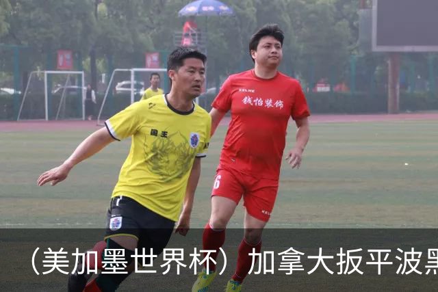 （美加墨世界杯）加拿大扳平波黑 获队史世界杯首分