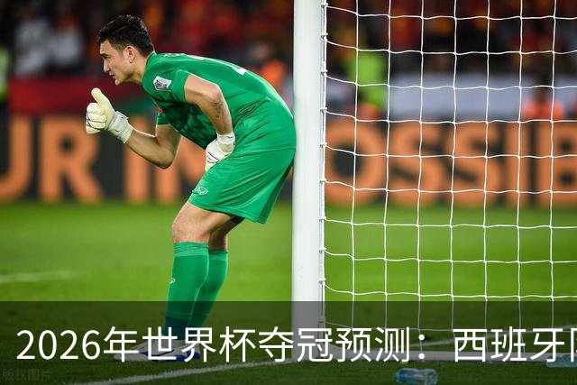 2026年世界杯夺冠预测：西班牙队领跑，英格兰队仅5%概率！