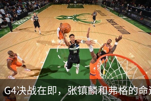 G4决战在即，张镇麟和弗格的命运交织：上海男篮的冠军之路